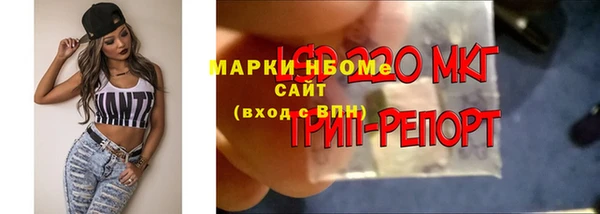 сатива Алексин