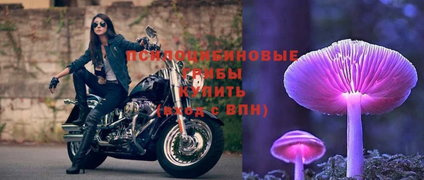 тгк Алзамай
