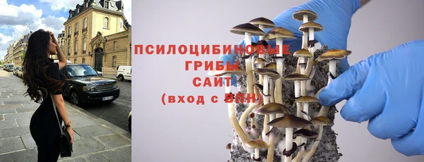 тгк Алзамай