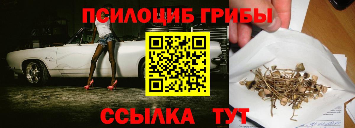Галлюциногенные грибы Cubensis Керчь